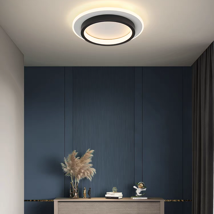 Eldaro Plafondlamp – Ronde LED plafondlamp van metaal en acryl met modern minimalistisch design
