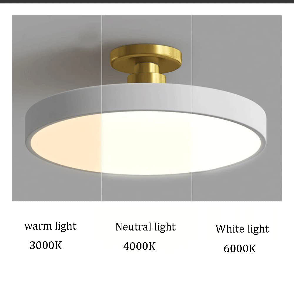 Vionte Plafondlamp – Ronde LED plafondlamp van metaal en acryl met energiezuinig design