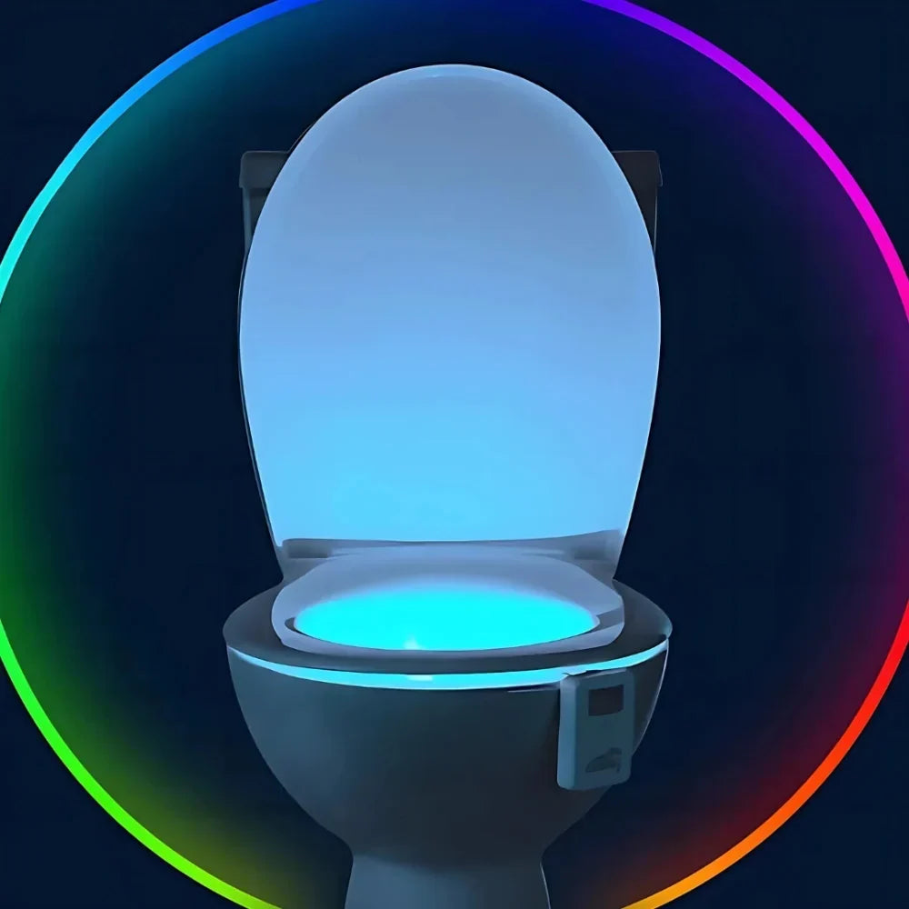 Toilet Night Light 4