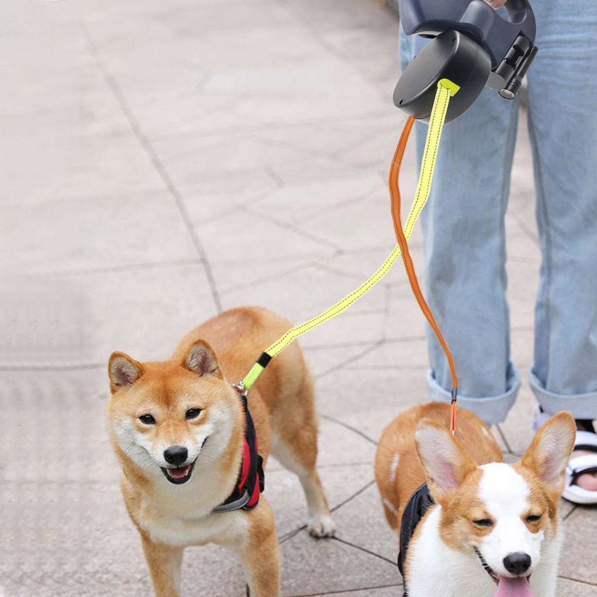 PawLink Duo Hondenriem – Dubbele Rollijn met LED & Reflectie