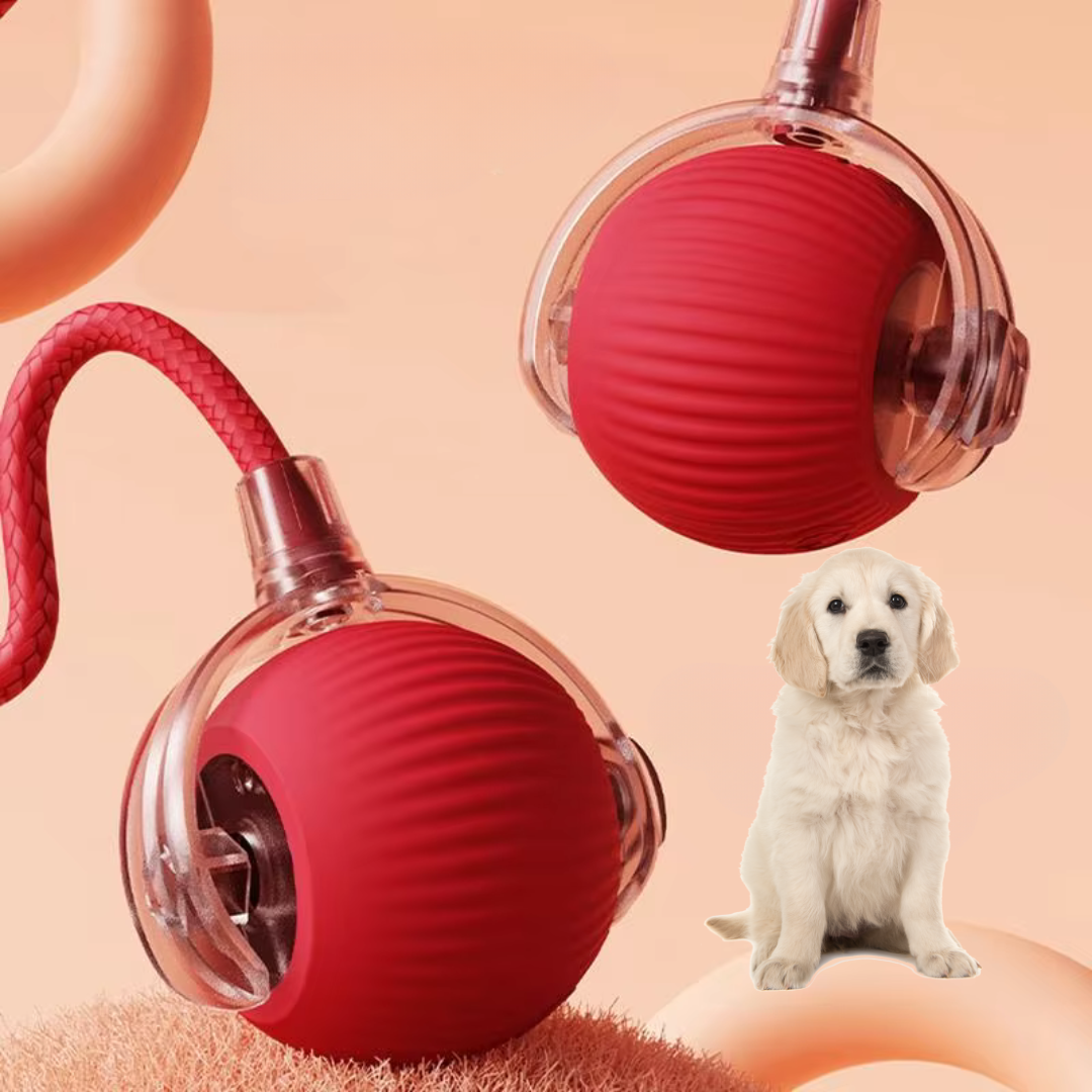 PurrPlay – Interactieve Kattenbal met Staart en Automatische Beweging