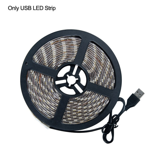 Velora LED Kastverlichting – Warm/Koud Wit met Bewegingssensor