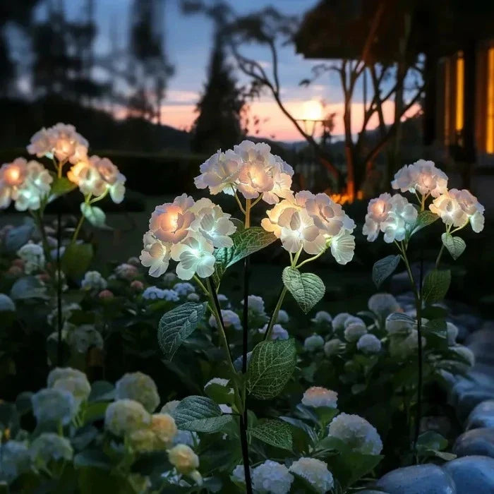 Solar Hydrangea Garden Lights – Flower Clusters That Glow Softly After Dark Tevako