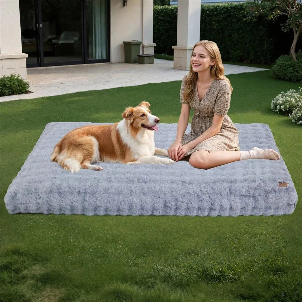 PETSERENE – Calming Bed for Dogs & Cats Vestragear