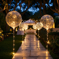 LED Ballonnen – 10 Stuks met Lichtsnoer voor Feesten & Bruiloften Vestragear