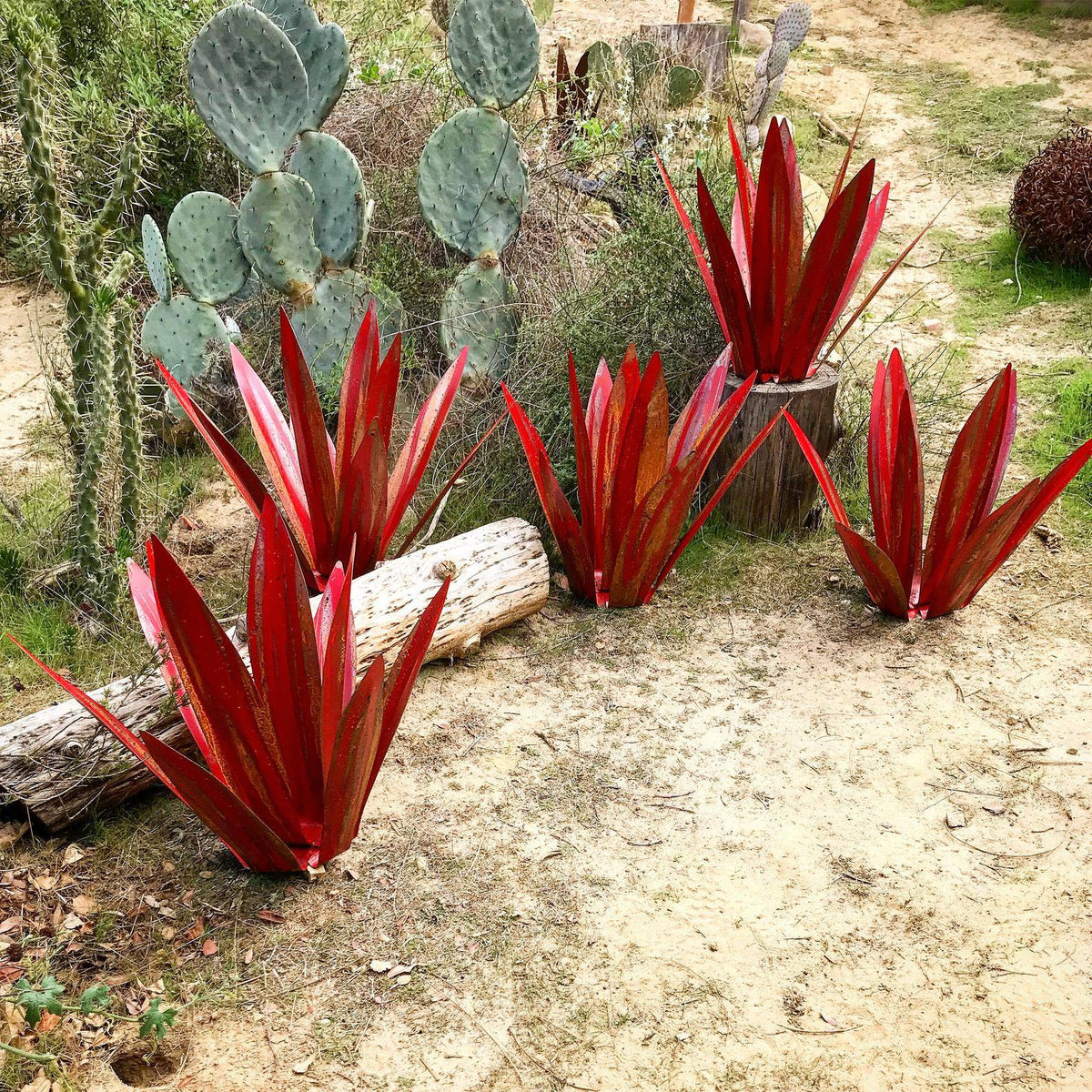 Metalen agave tuinbeeld – Onderhoudsvrij, Roestbestendig & Handgemaakt