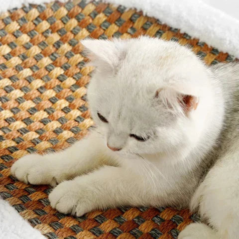 Clawora – Houten krabpaal met sisal & ligvlak – stijlvol kattenmeubel
