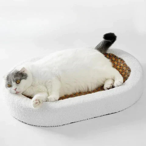 Clawora – Houten krabpaal met sisal & ligvlak – stijlvol kattenmeubel