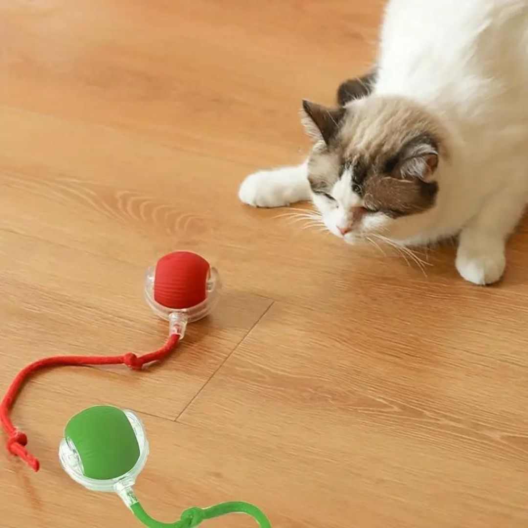 Catimo – Interactieve Kattenbal met Staart & USB Oplaadbaar – Indoor